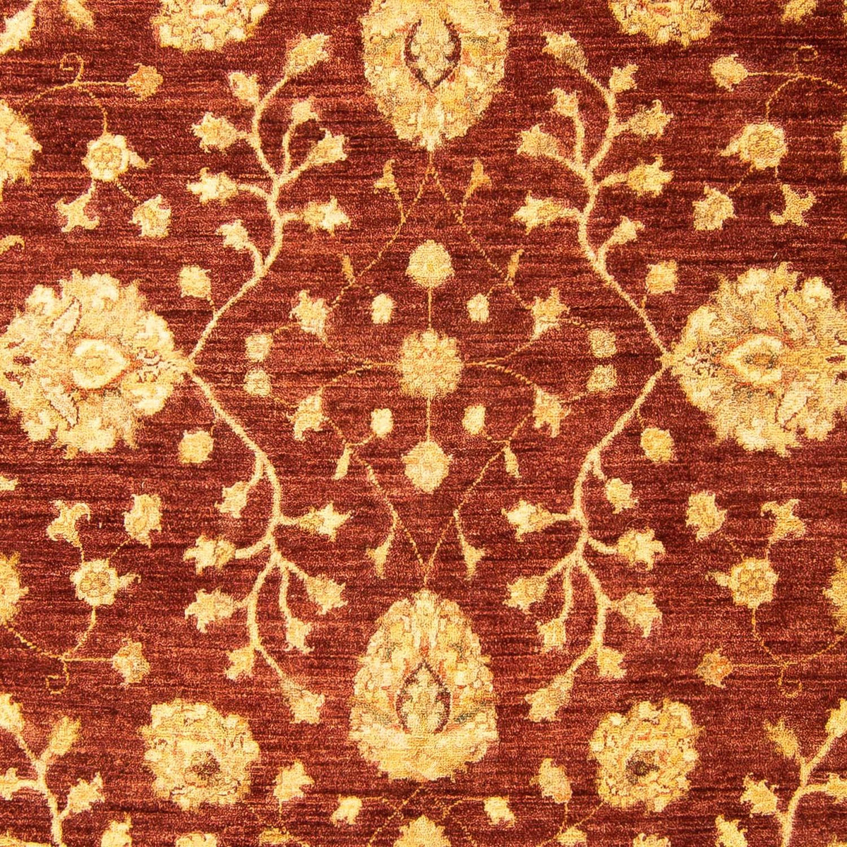 Alfombra Ziegler - 270 x 195 cm - marrón