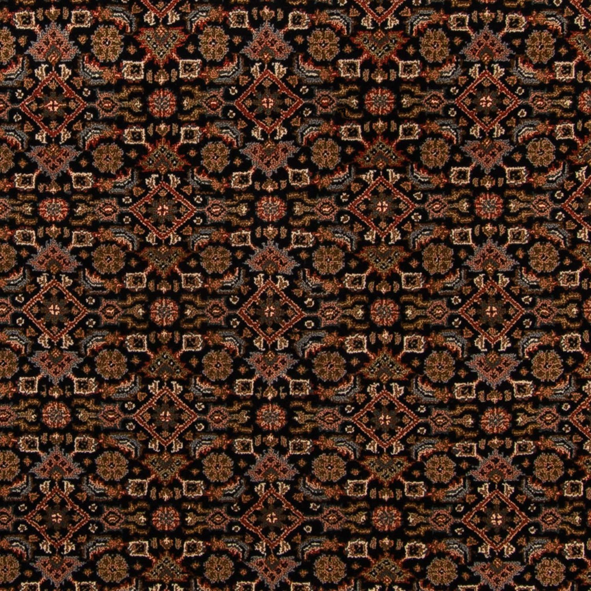 Alfombra oriental - Bidjar - Indus - 306 x 254 cm - azul oscuro