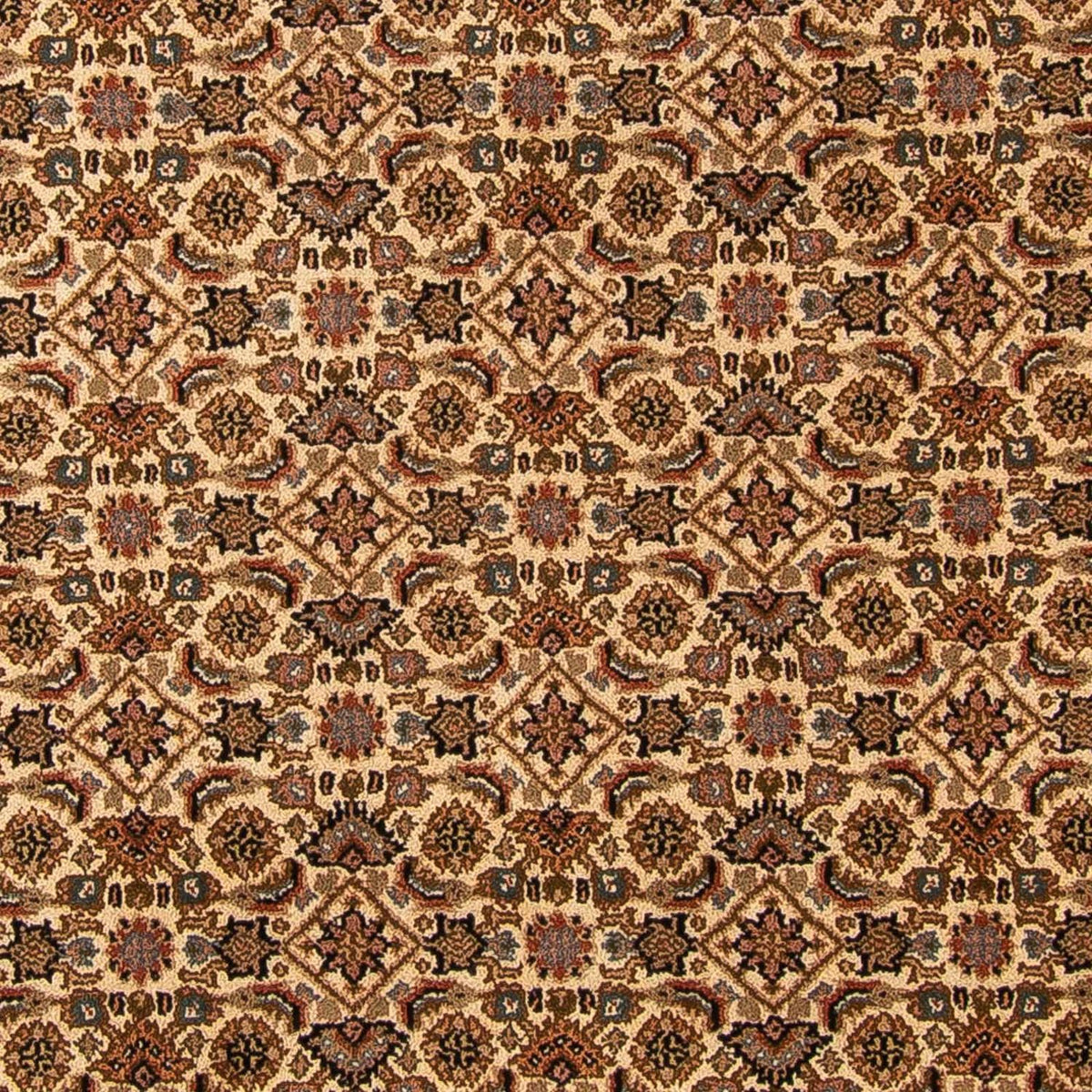 Alfombra oriental - Bidjar - Indus - 309 x 250 cm - beige