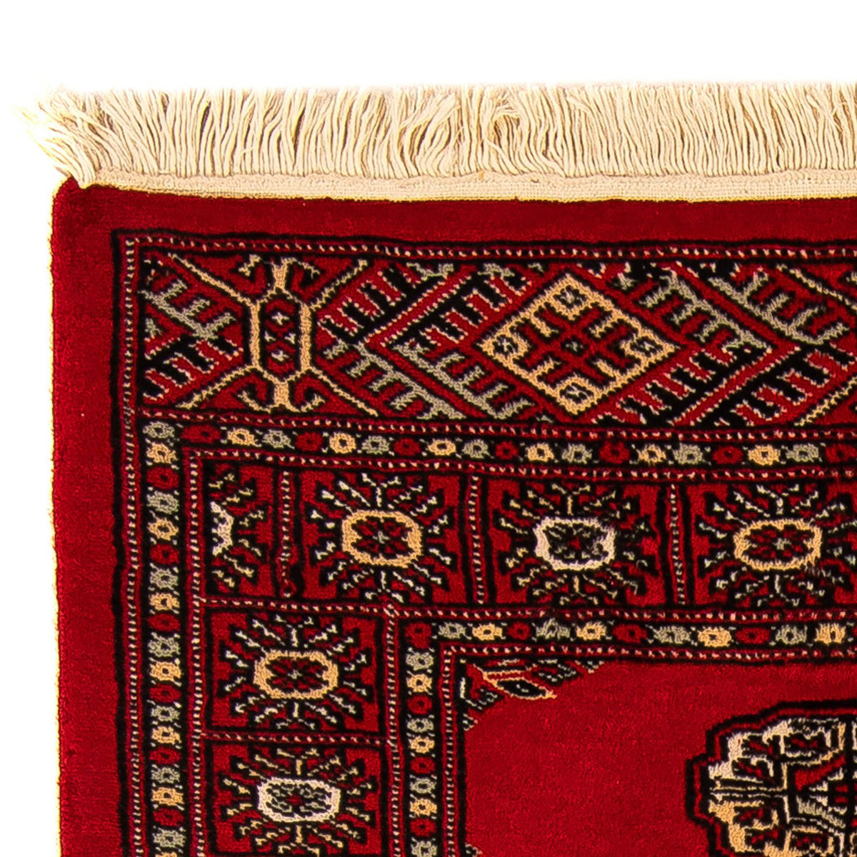 Alfombra Pakistani 80x123cm - Alfombra oriental