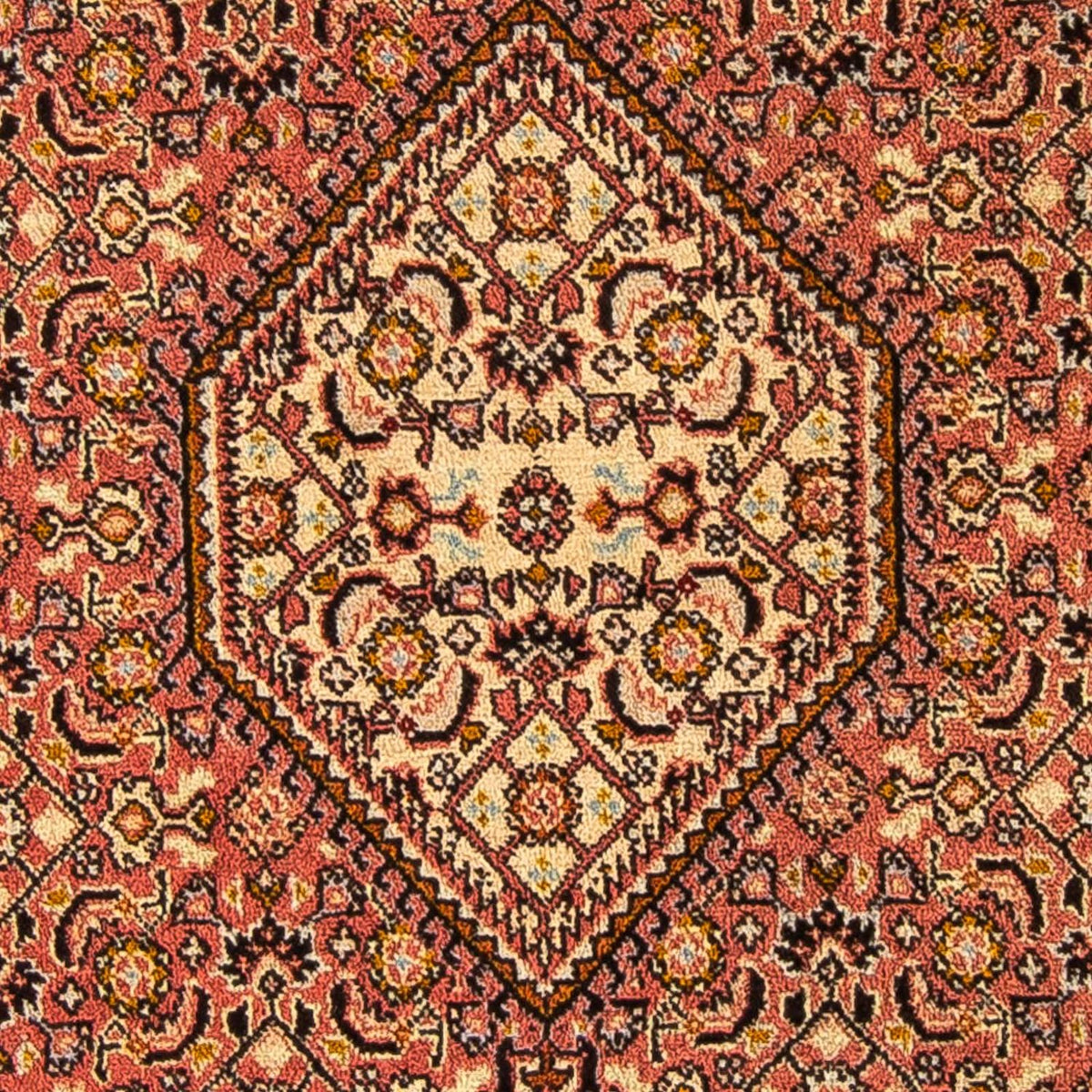 Alfombra persa - Bidjar - 143 x 88 cm - marrón claro