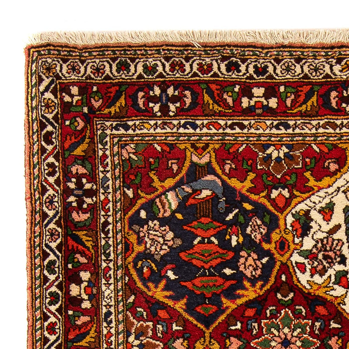 Bakhtiari Alfombra 108x157cm - Alfombra persa