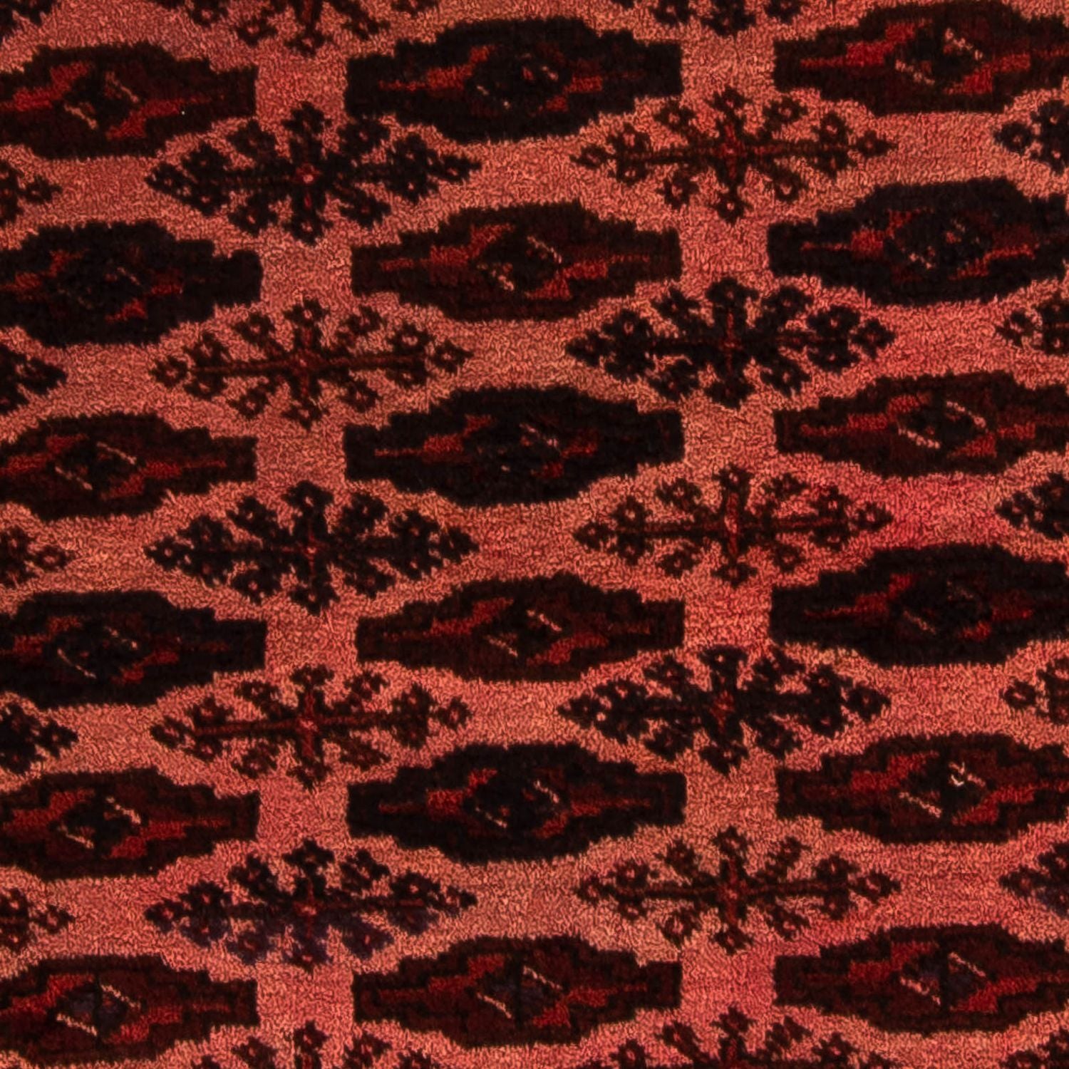 Alfombra afgana - Bukhara - 150 x 103 cm - rojo oscuro