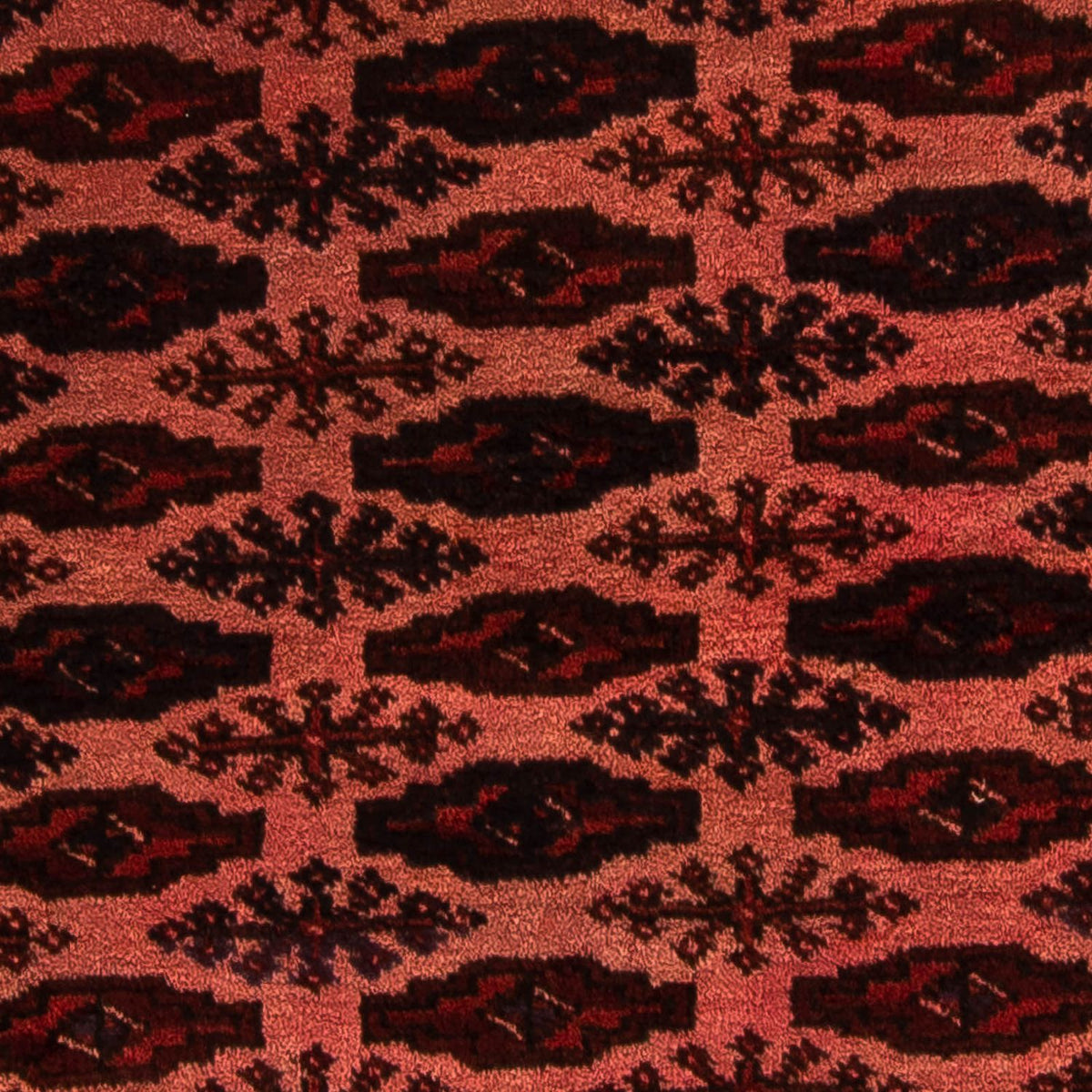 Alfombra afgana - Bukhara - 150 x 103 cm - rojo oscuro