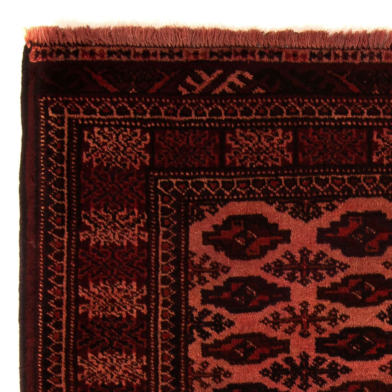 Alfombra afgana - Bukhara - 150 x 103 cm - rojo oscuro
