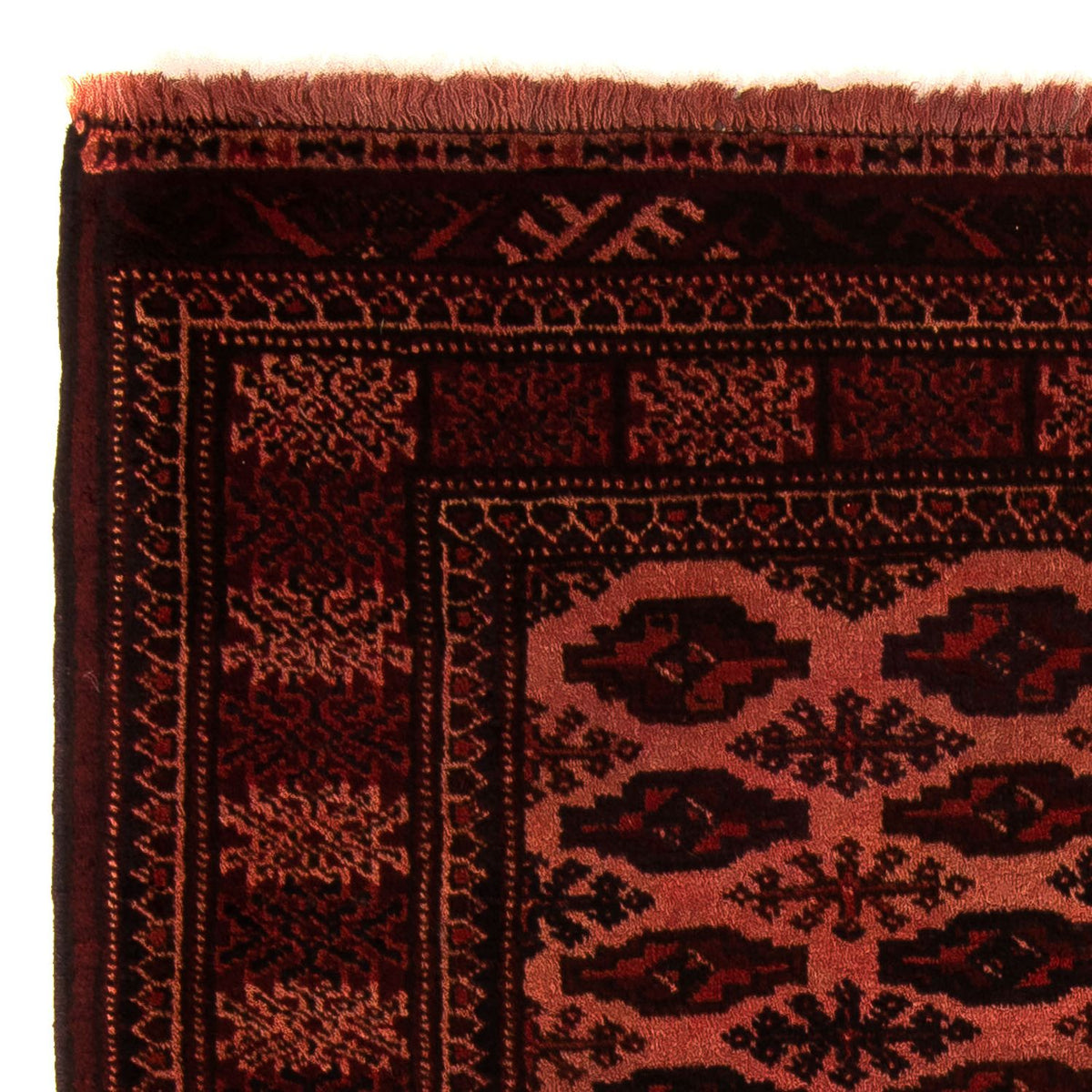 Alfombra afgana - Bukhara - 150 x 103 cm - rojo oscuro