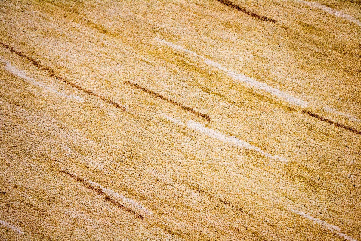 Alfombra Gabbeh - Indus - 242 x 150 cm - multicolor