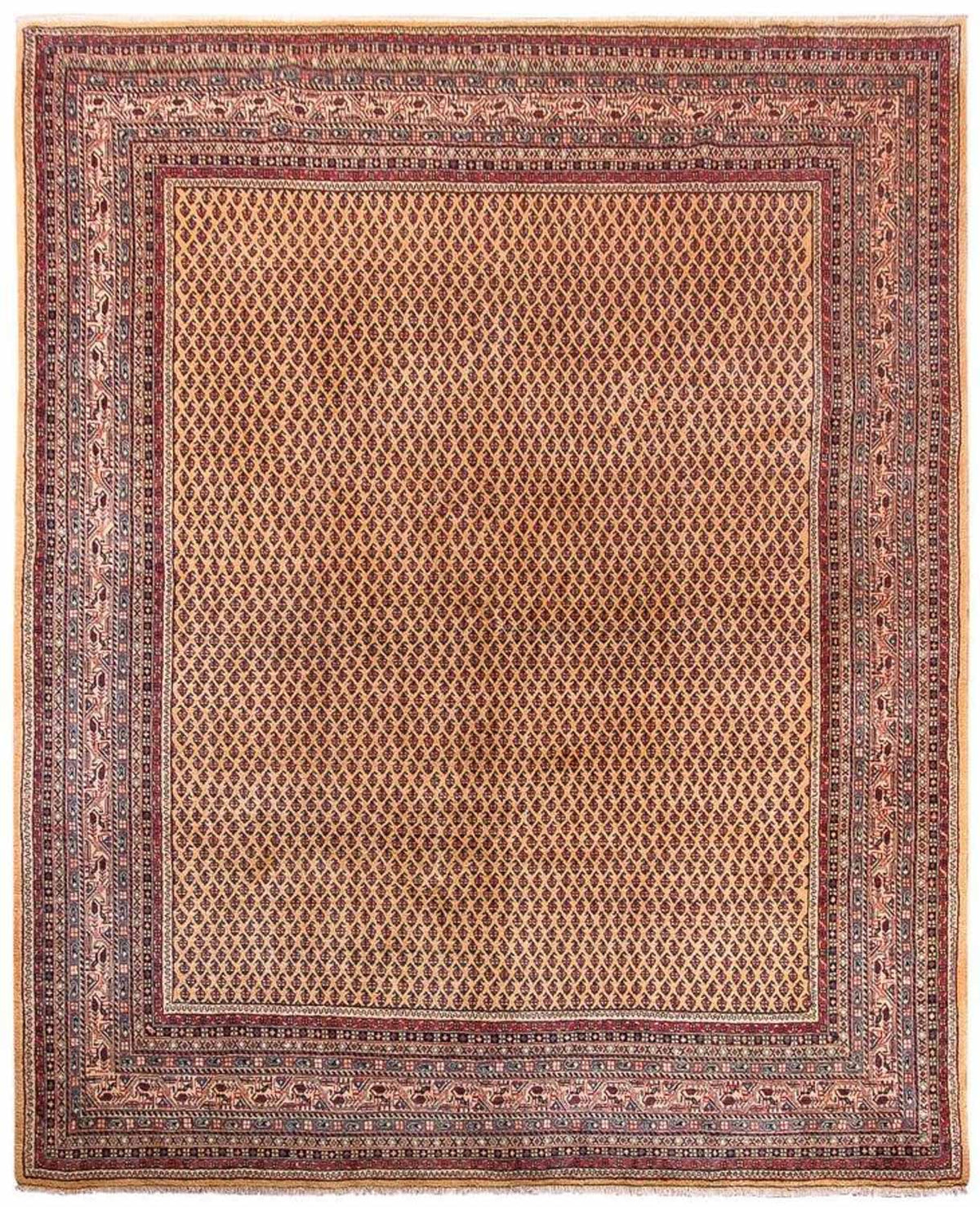 Alfombra persa - Nómada - 288 x 238 cm - beige