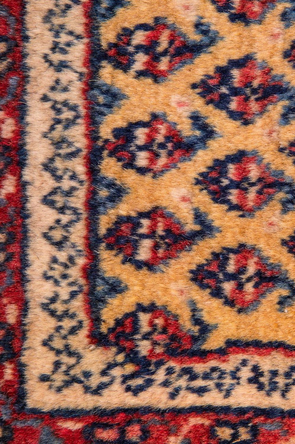 Alfombra persa - Nómada - 288 x 238 cm - beige