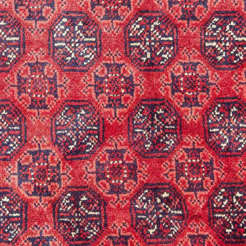 Alfombra afgana - Bukhara - 299 x 195 cm - rojo
