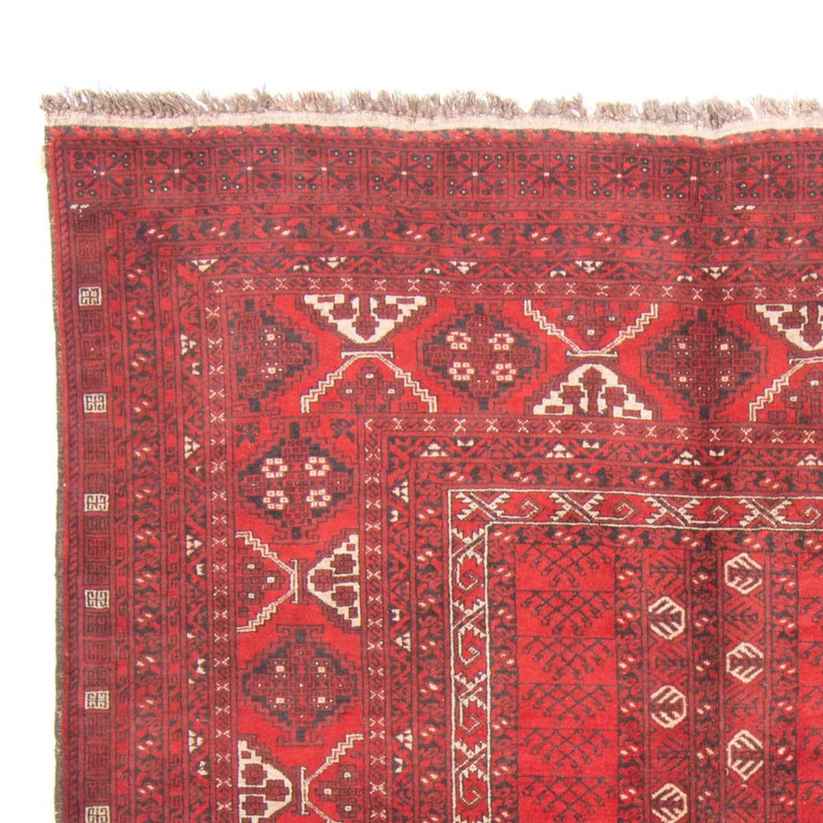 Alfombra Turkaman 159x236cm - Alfombra persa - rojo