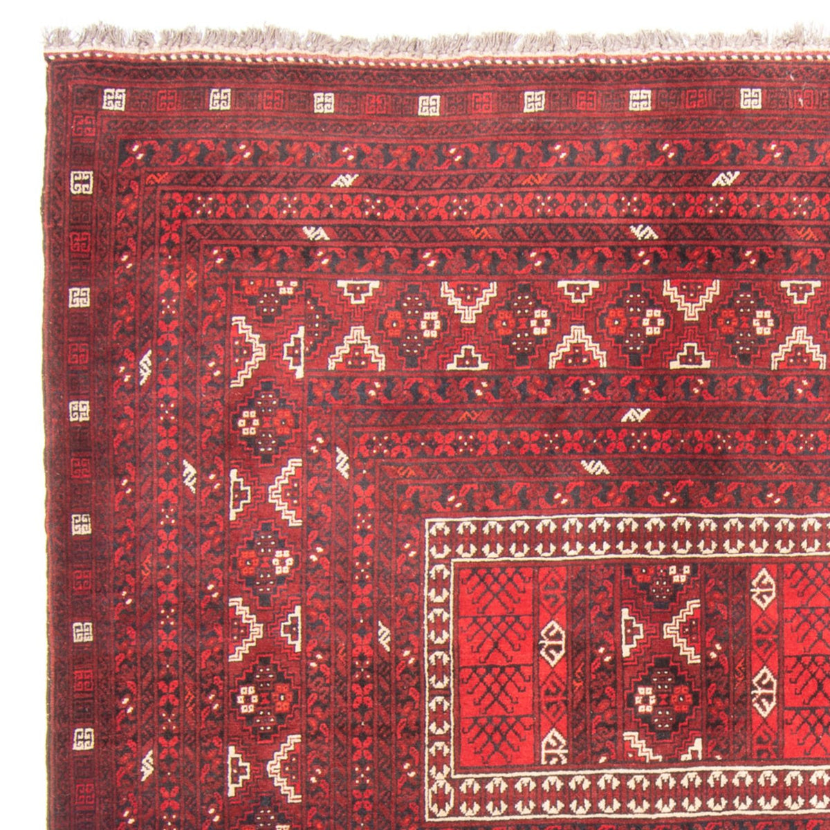 Alfombra Turkaman 162x236cm - Alfombra persa - rojo