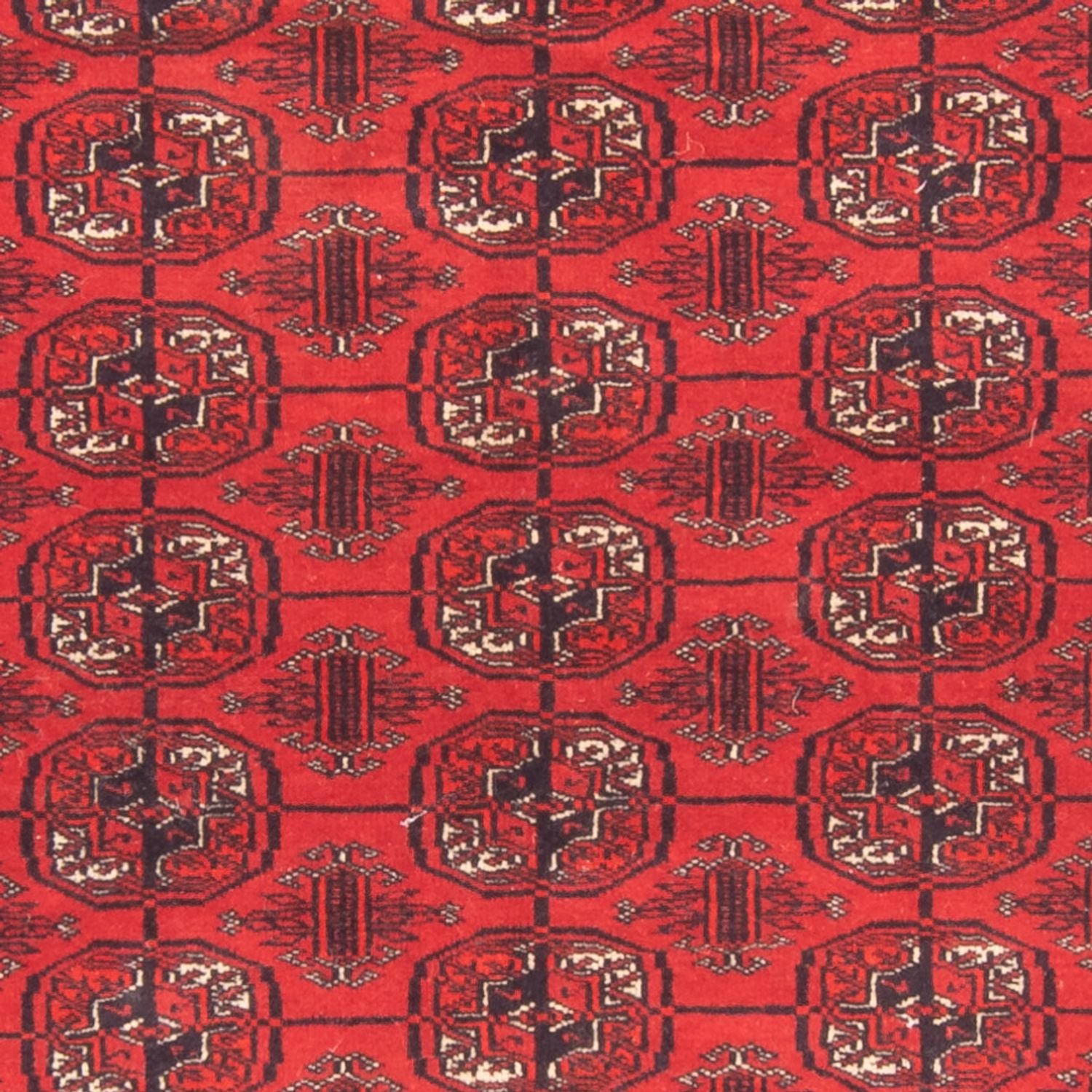 Alfombra Turkaman - 168 x 124 cm - rojo