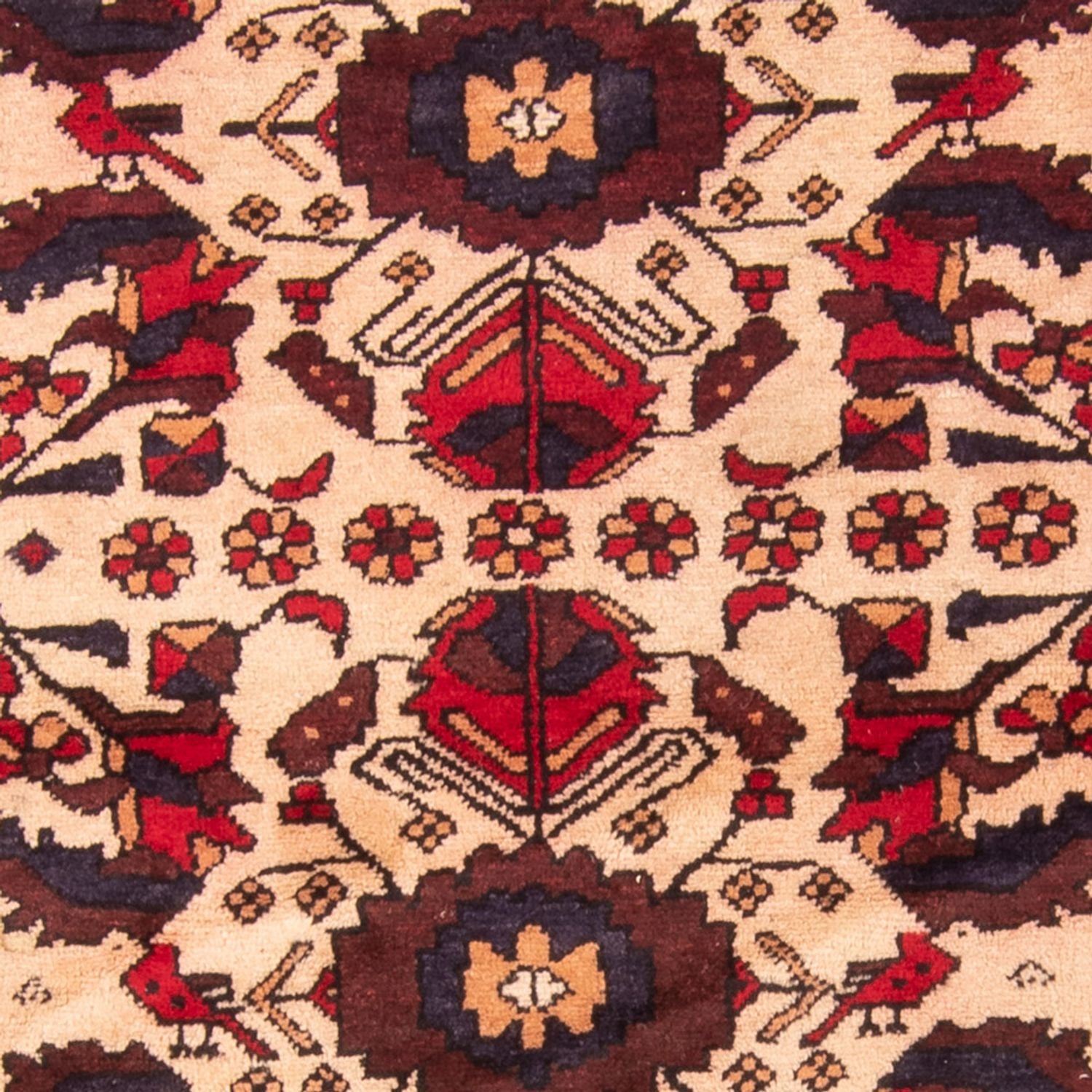 Alfombra de pasillo Alfombra Belutsch - 230 x 93 cm - beige