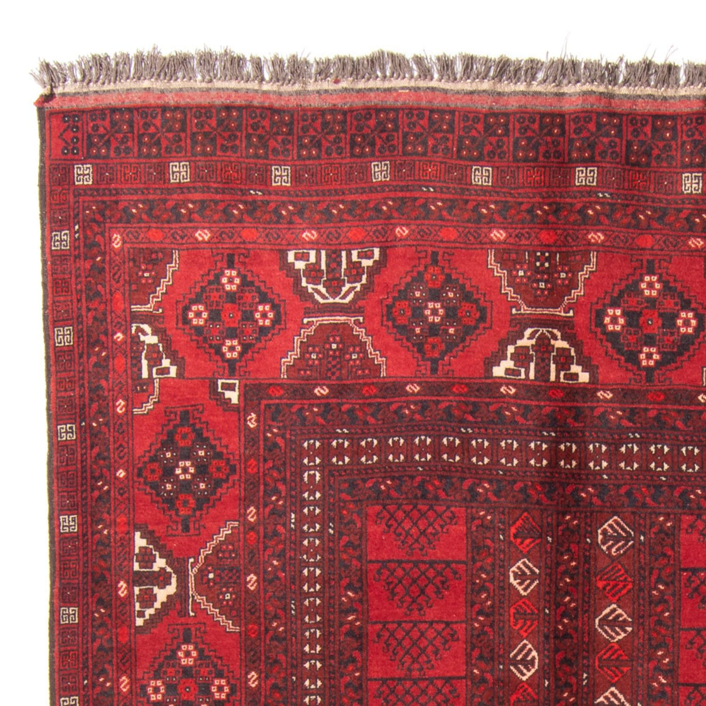 Alfombra Turkaman 228x158cm - Alfombra persa