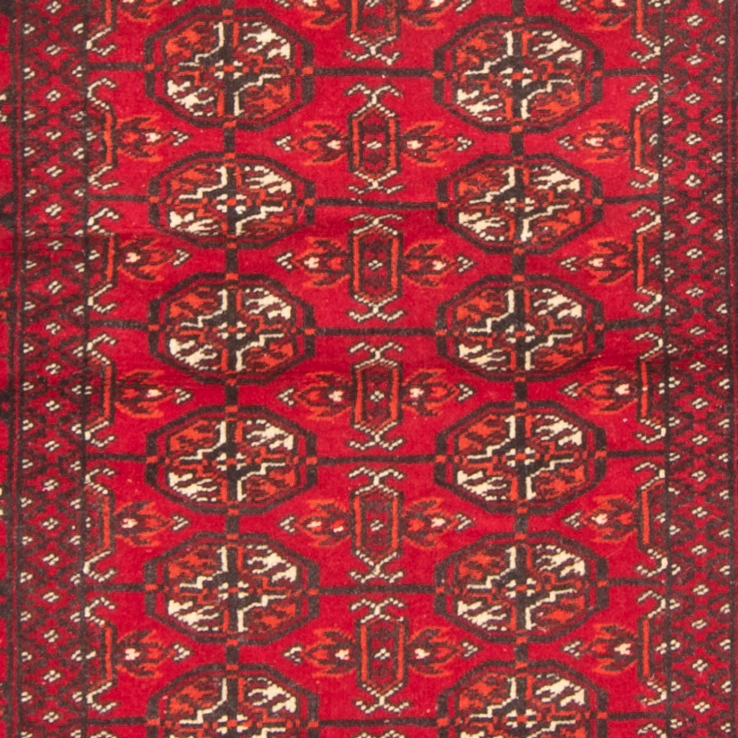 Alfombra de pasillo Alfombra Turkaman - 180 x 83 cm - rojo