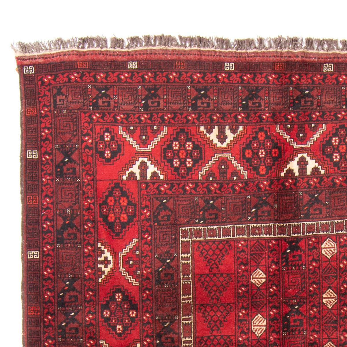 Alfombra Turkaman 158x244cm - Alfombra persa - rojo