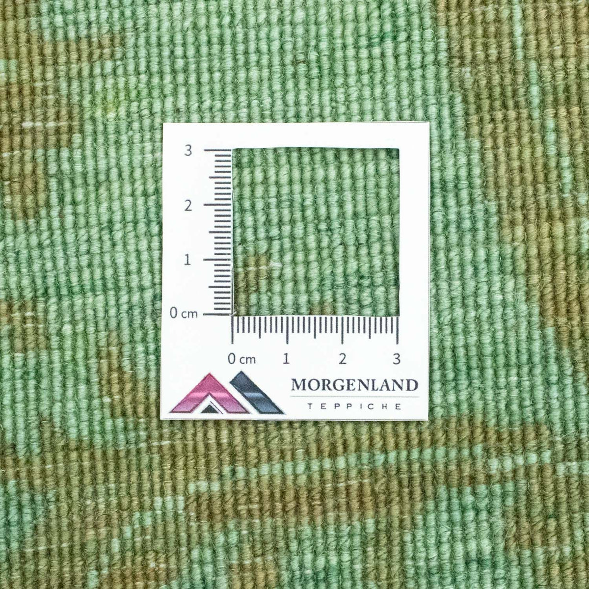 Alfombra Ziegler - Moderna - 123 x 75 cm - verde