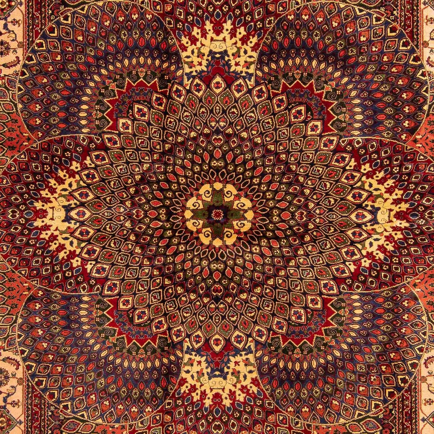 Alfombra afgana - 279 x 198 cm - multicolor