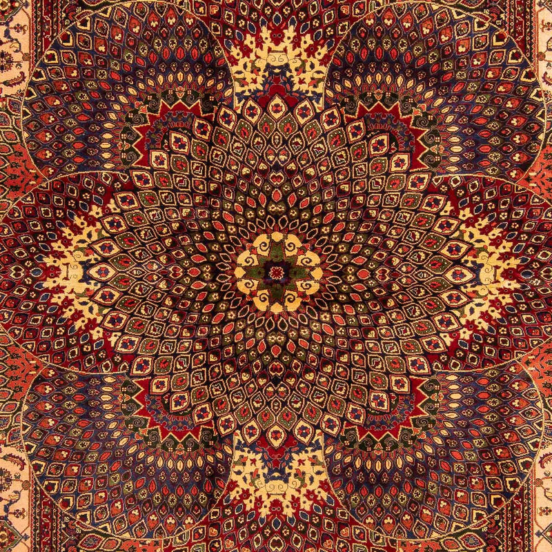 Alfombra afgana - 279 x 198 cm - multicolor