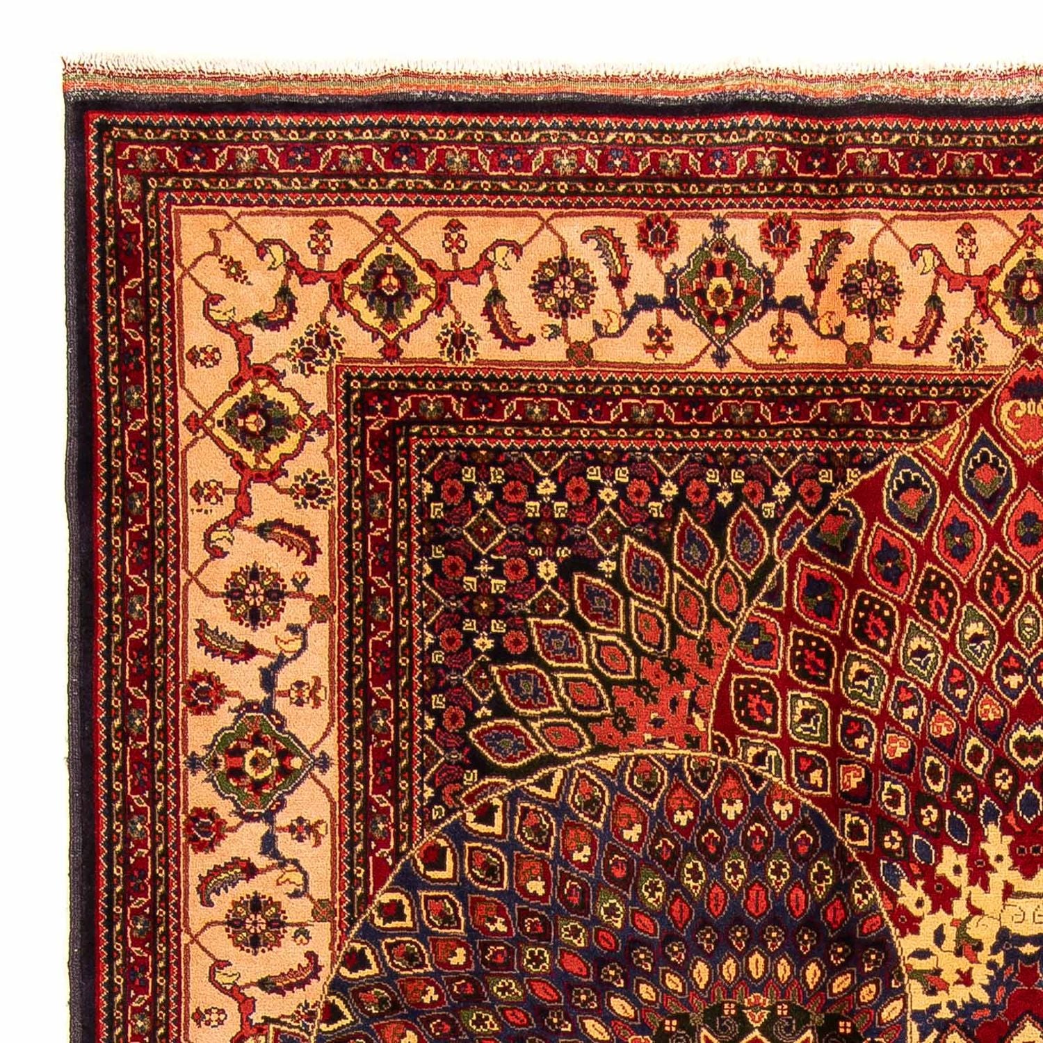 Alfombra afgana - 279 x 198 cm - multicolor