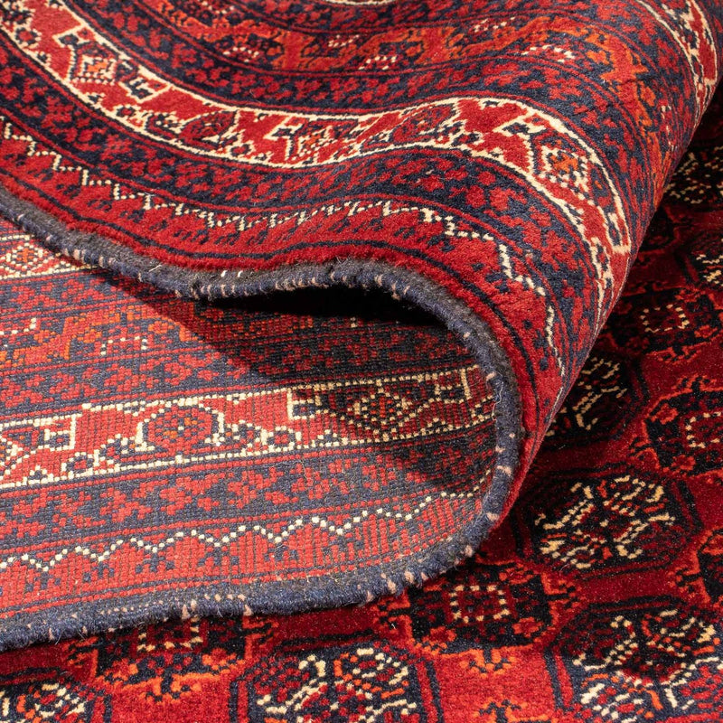 Alfombra afgana - Bukhara - 300 x 200 cm - rojo