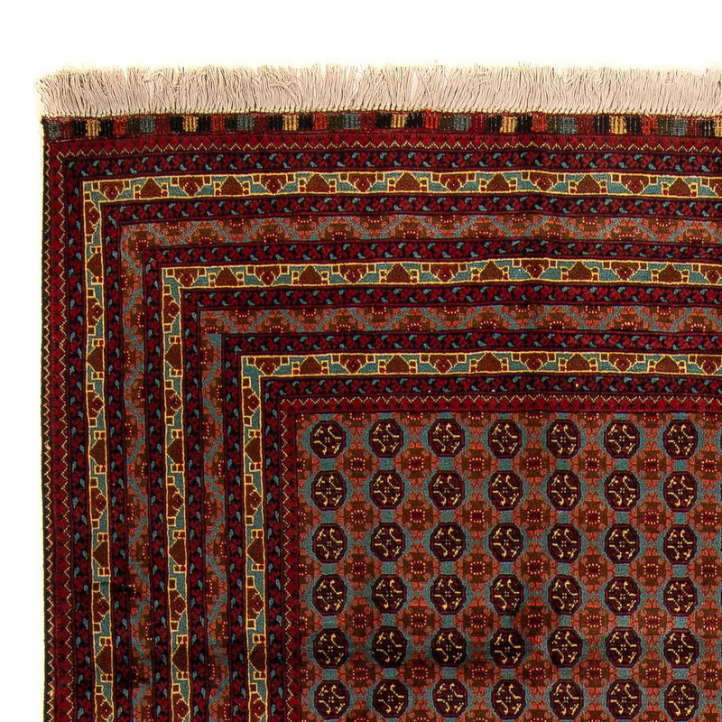 Alfombra afgana - Bukhara - 296 x 196 cm - multicolor