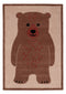 BR-BärPolarlichterPracht-170x120---01.jpg