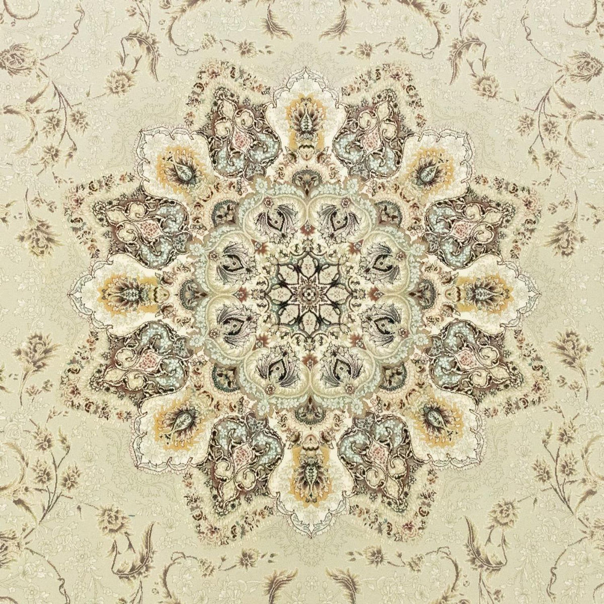 CR-G245-225x150O