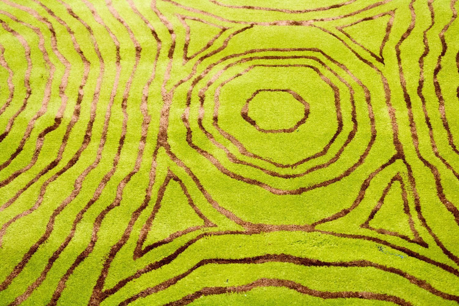 Alfombra de diseño - 241 x 152 cm - verde claro