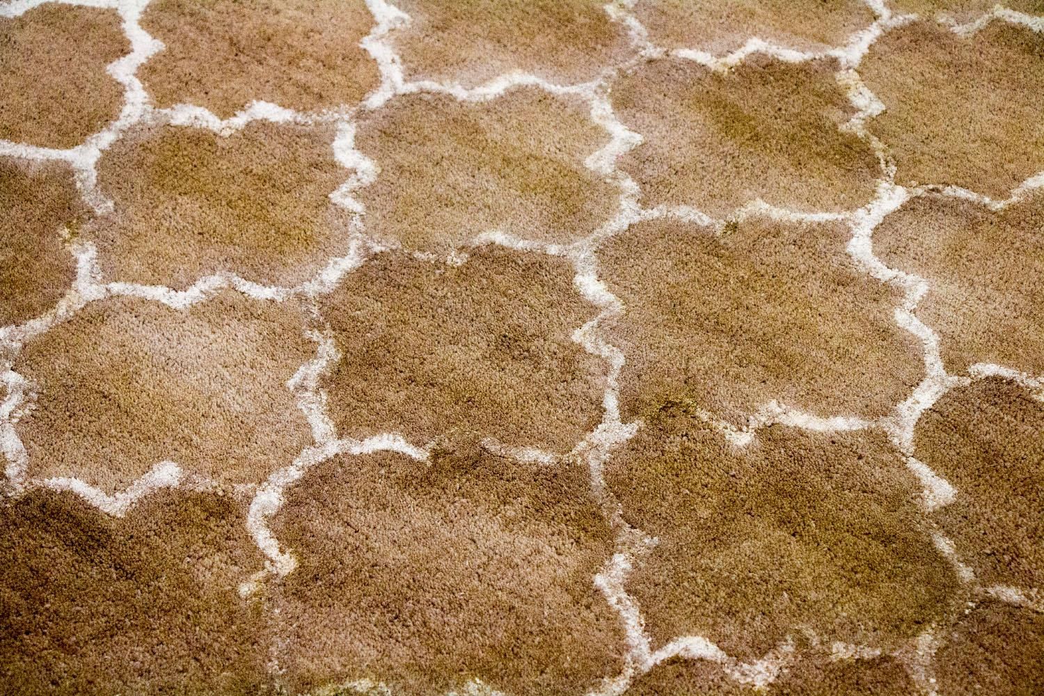 Alfombra de diseño - 230 x 162 cm - beige