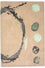 Alfombra de diseño - 179 x 121 cm - beige