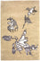Alfombra de diseño - 241 x 154 cm - beige