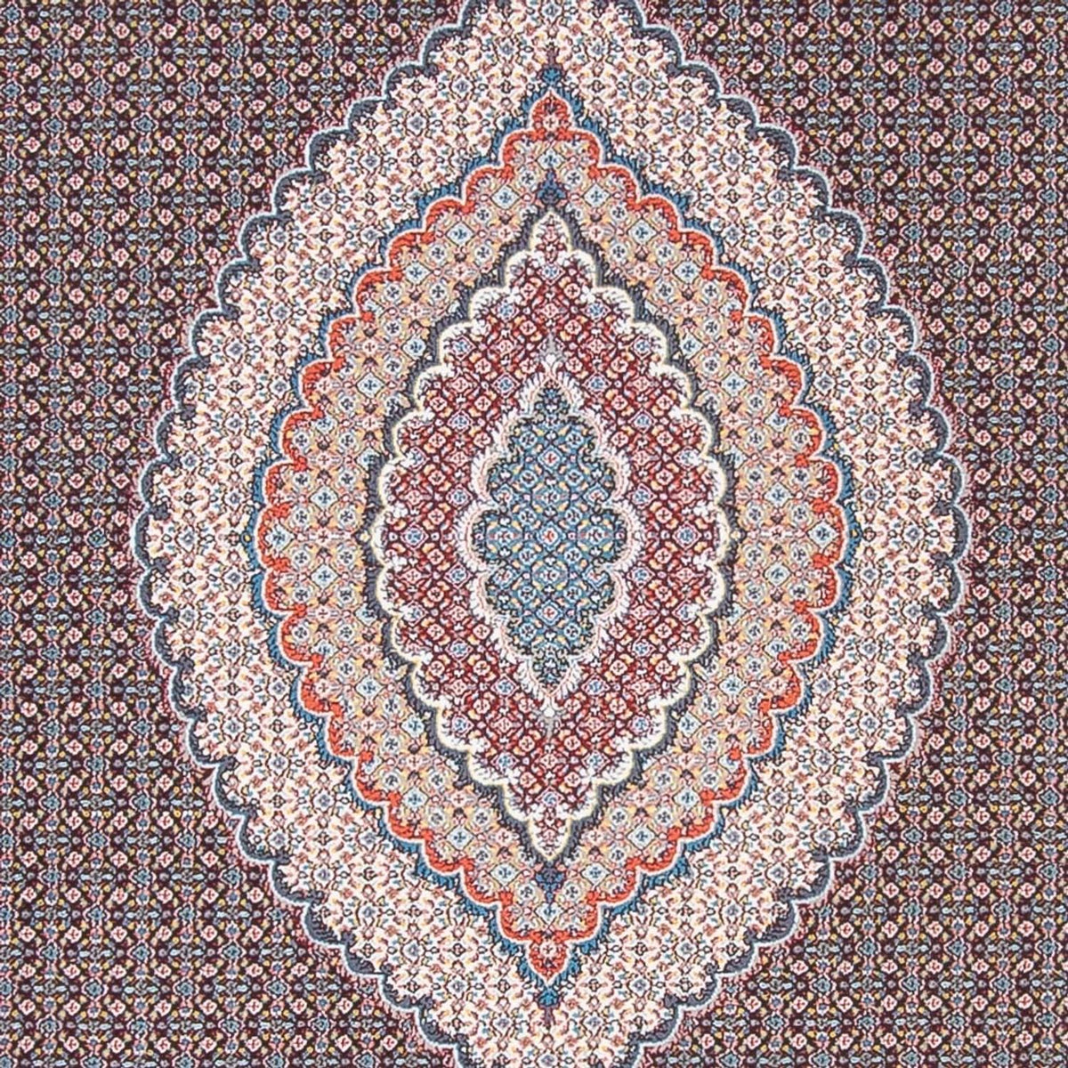 DKBL7-7009-300x200
