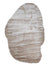 Beige oscuro