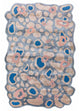 Alfombra de diseño 180x270cm - Designerteppich