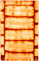 Alfombra Vintage 118x183cm