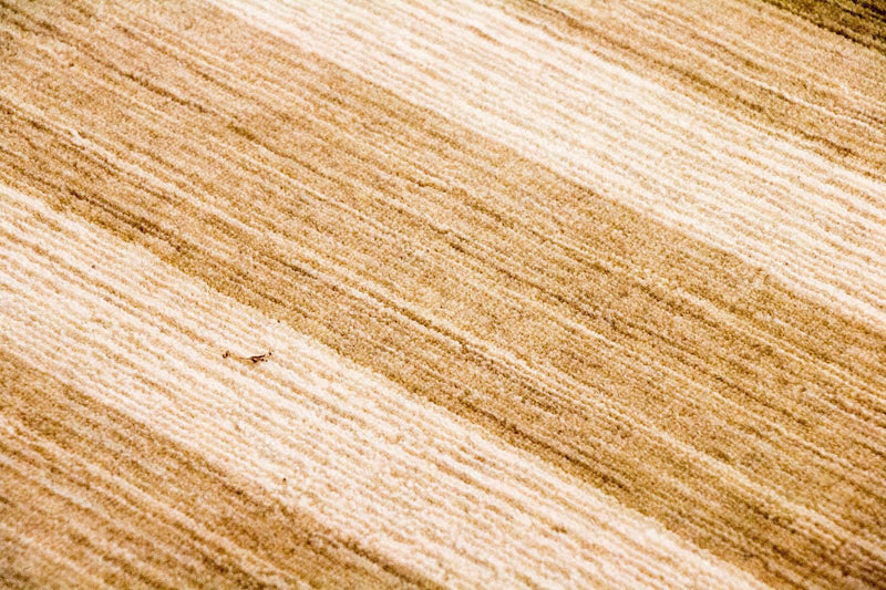 Alfombra de lana - 182 x 123 cm - multicolor