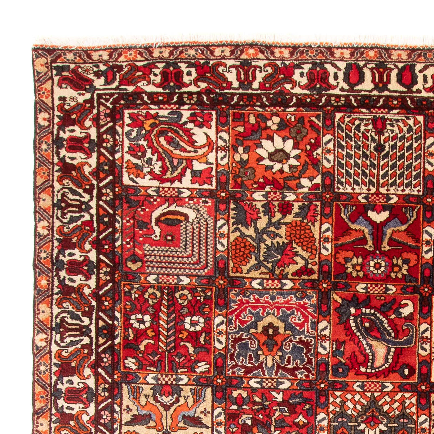 Bakhtiari Alfombra 306x201cm - Alfombra persa