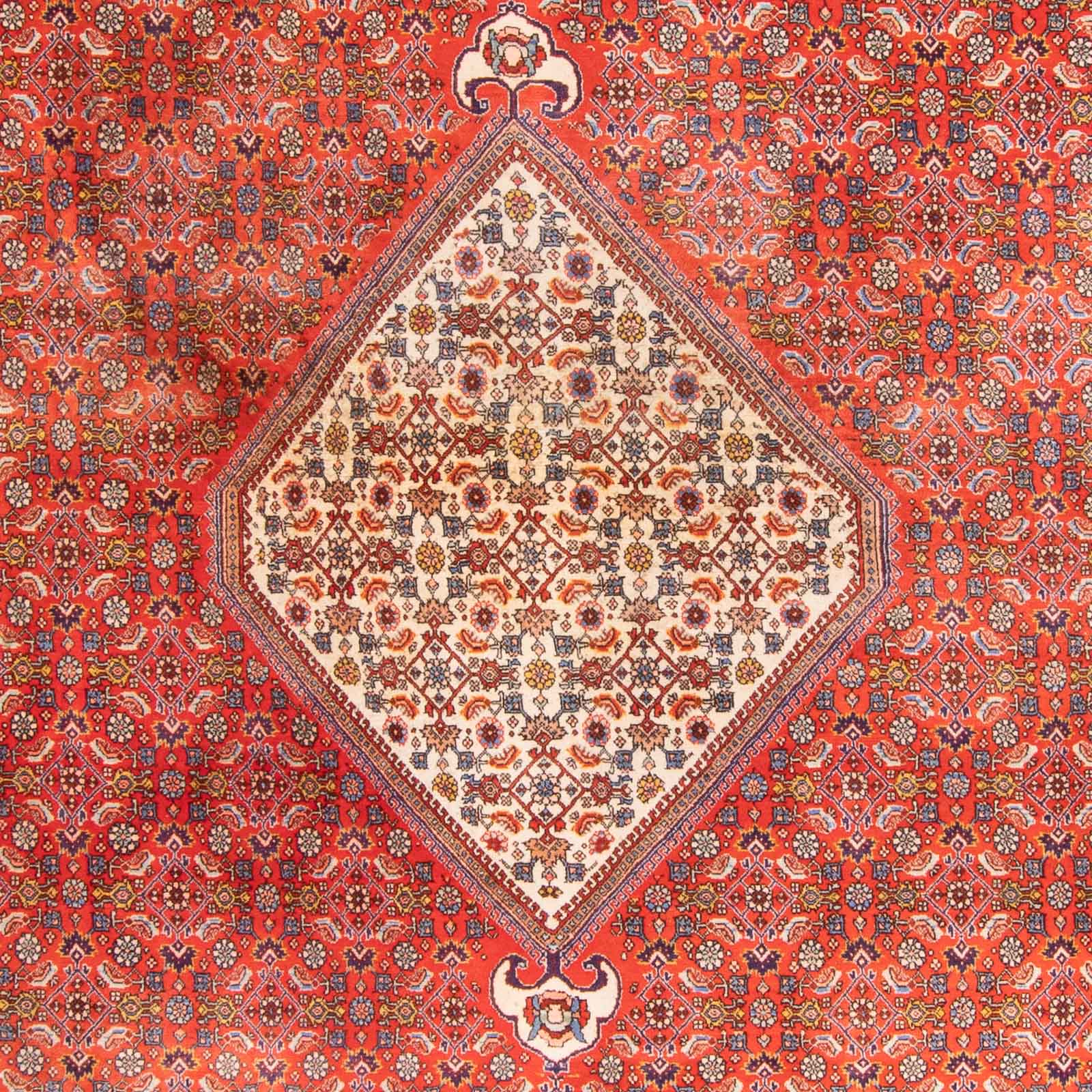 Alfombra persa - Bidjar - 420 x 310 cm - terracota