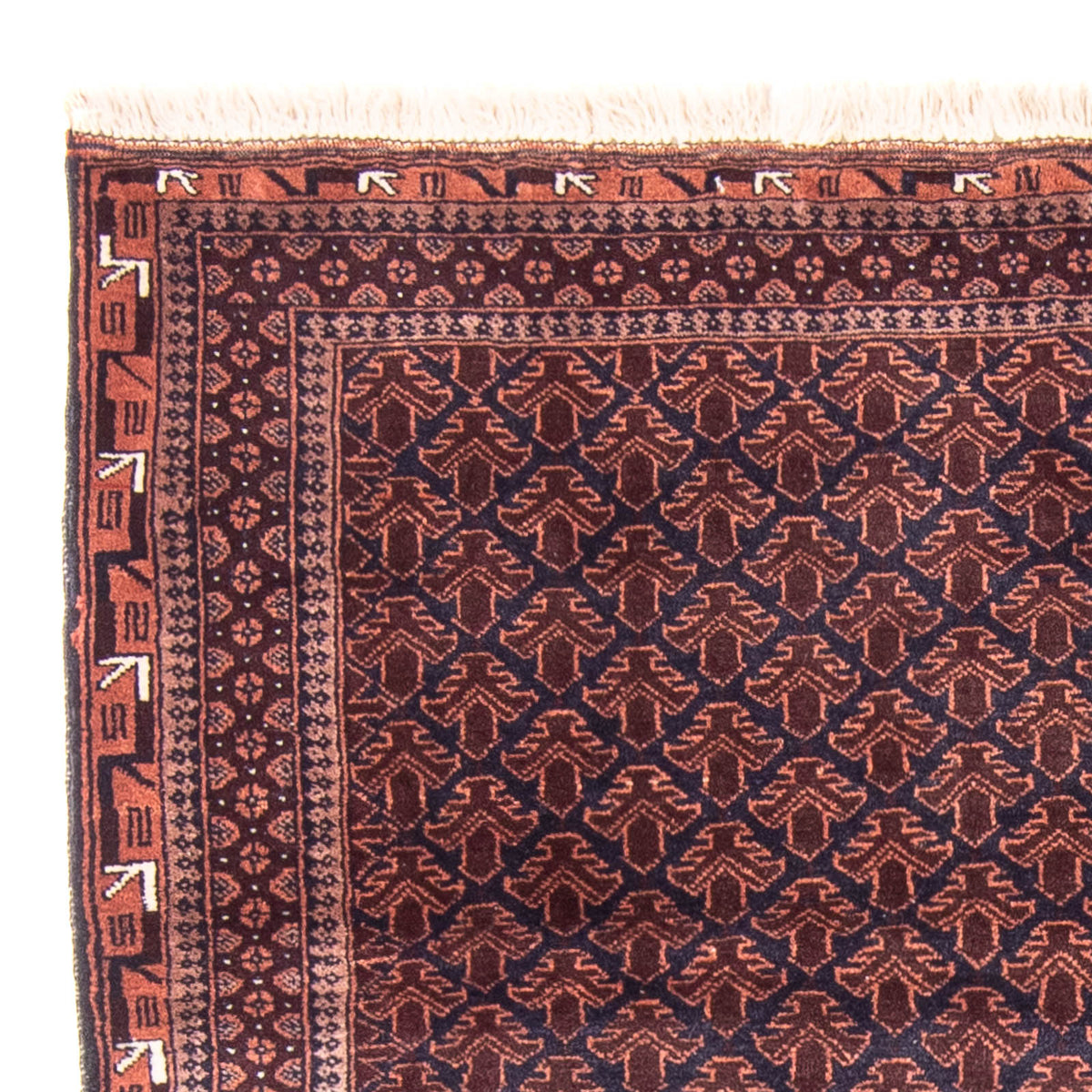Alfombra Belutsch 93x138cm - Alfombra oriental