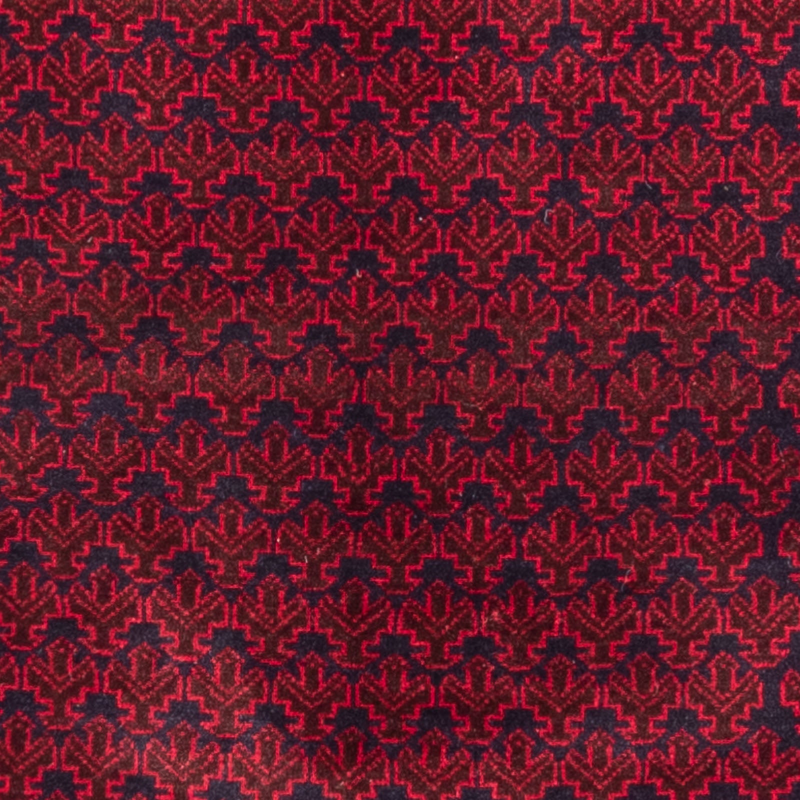 Alfombra Belutsch - Alfombra de Oración - 142 x 89 cm - azul
