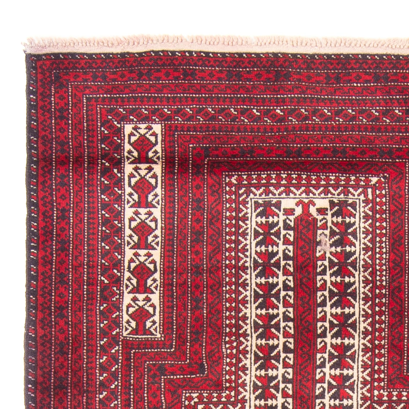 Alfombra Belutsch 150x90cm - Alfombra oriental