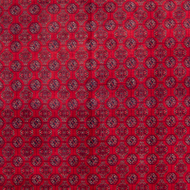 Alfombra afgana - Bukhara - 340 x 240 cm - rojo