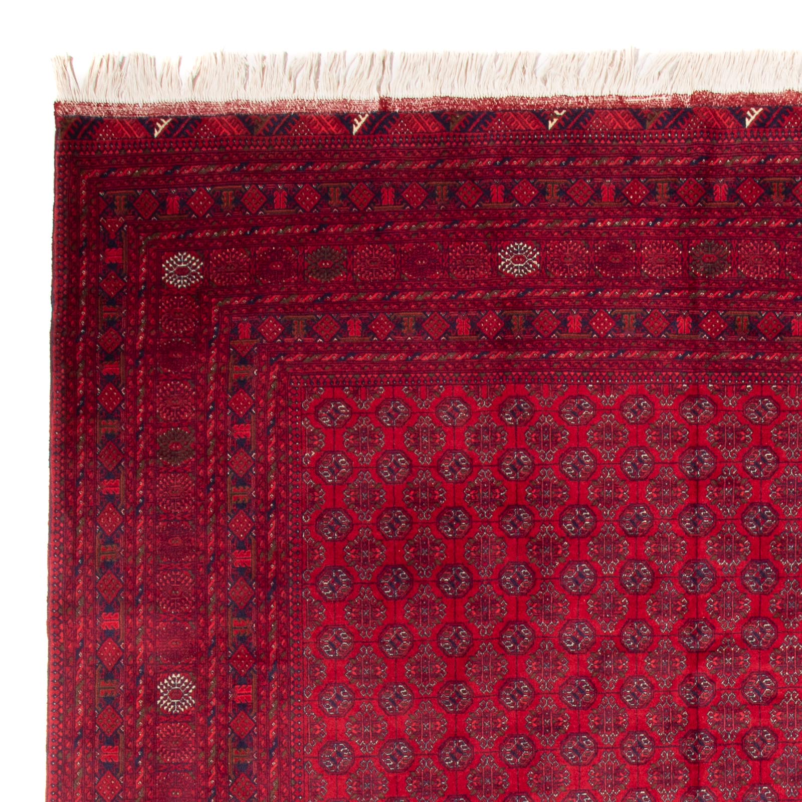 Alfombra afgana - Bukhara - 340 x 240 cm - rojo