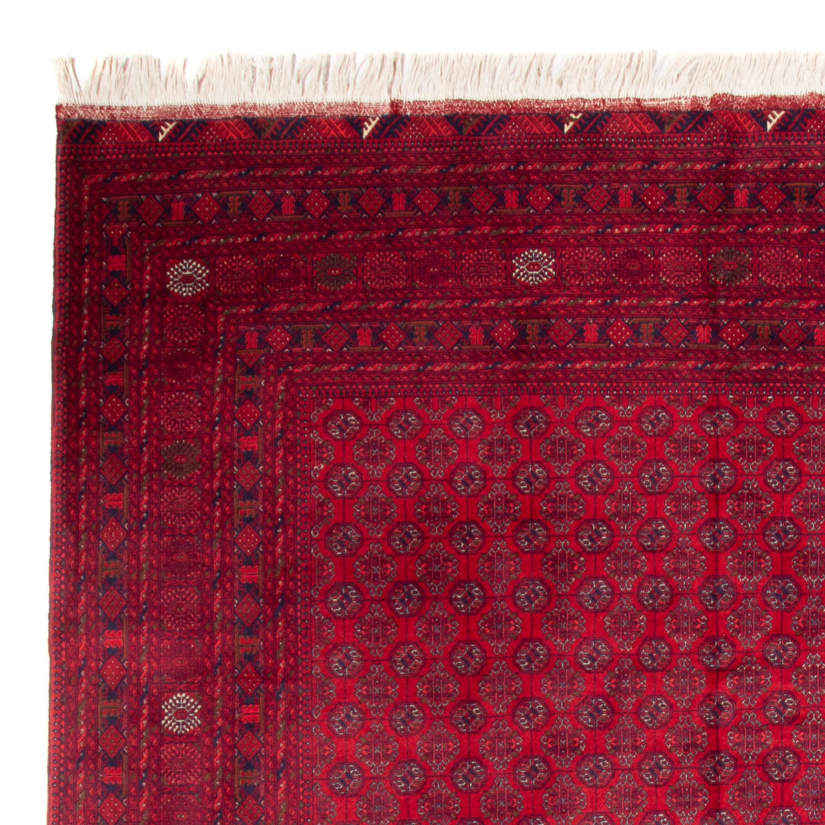 Bukhara Alfombra 240x340cm - Alfombra oriental