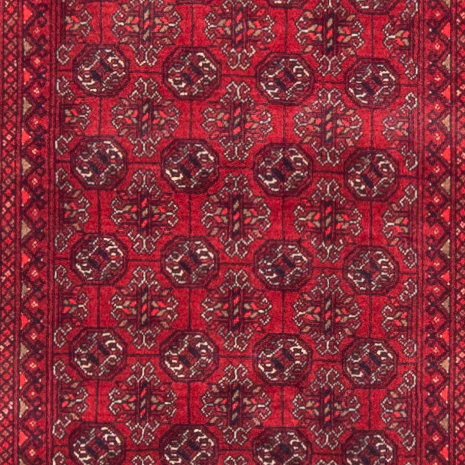 Alfombra de pasillo Alfombra afgana - Bukhara - 290 x 80 cm - rojo