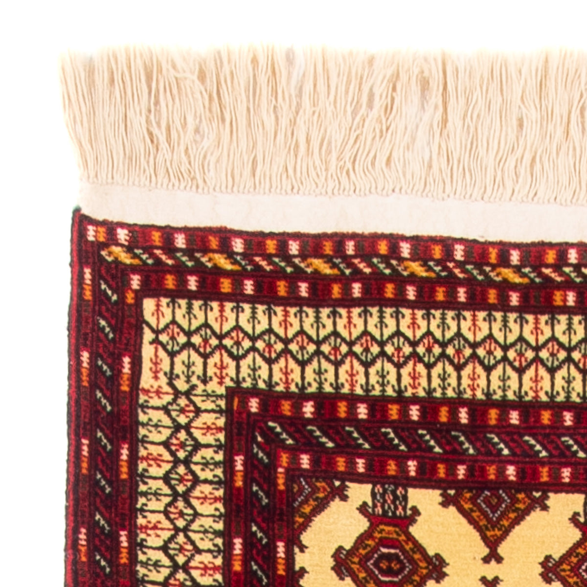 Alfombra de pasillo Alfombra Turkaman - 305 x 85 cm - beige