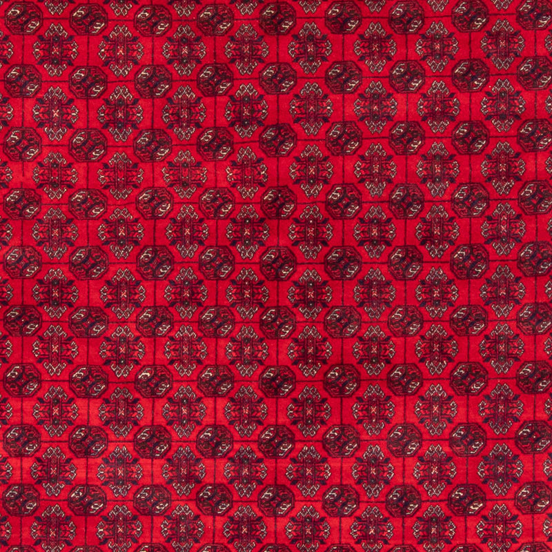 Alfombra afgana - Bukhara - 290 x 196 cm - rojo