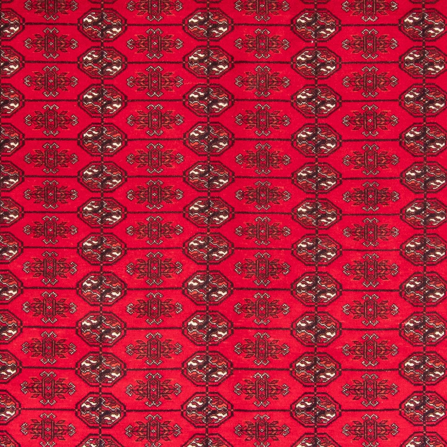 Alfombra afgana - Bukhara - 282 x 200 cm - rojo